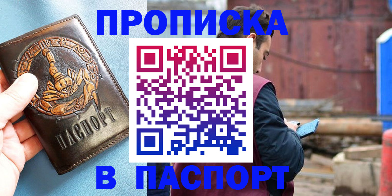 прописка в Бердске